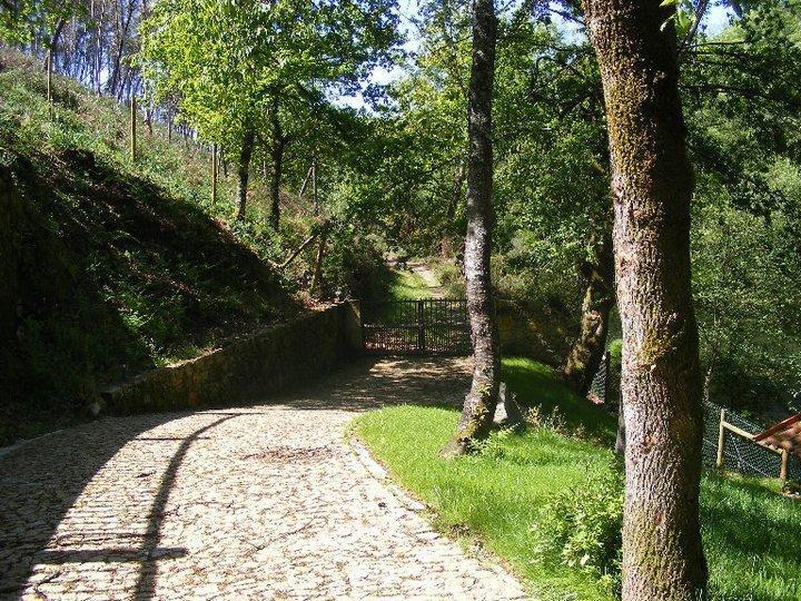 Quinta Do Rio Homem Caldelas Eksteriør billede